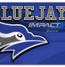 Blue Jays card design