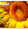 Sunflower card design